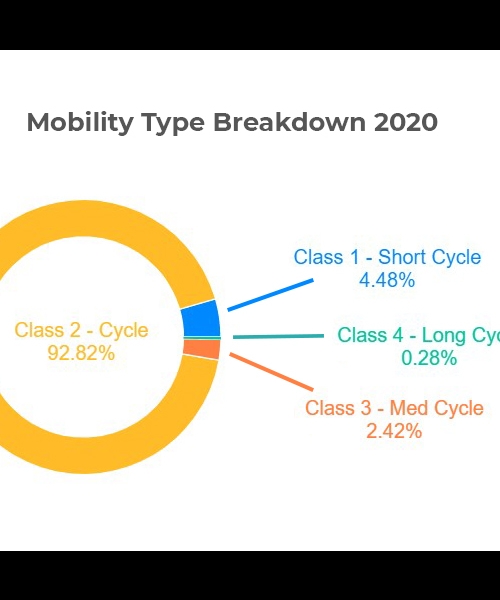 mobility type breakdown 2020