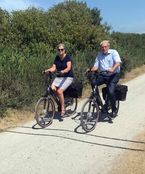 MetroCount Bike counters in Ameland