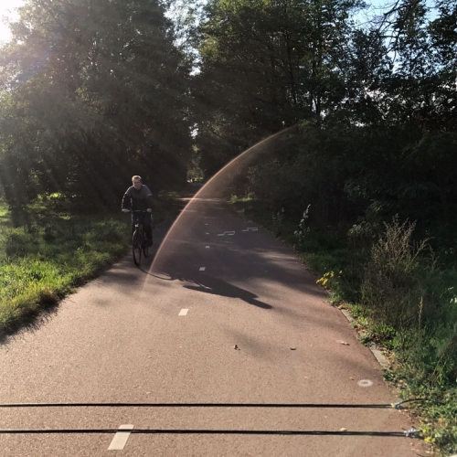 fietsonderzoek in Noord Brabant