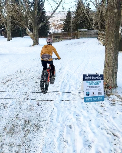 Bike counter counting cyclists in the snow